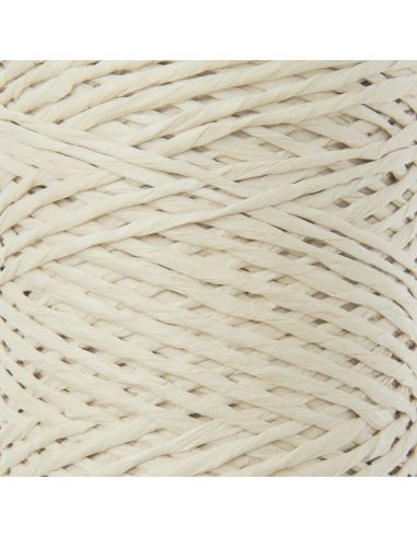 Fil Luxury Raffia Paper Rico Design