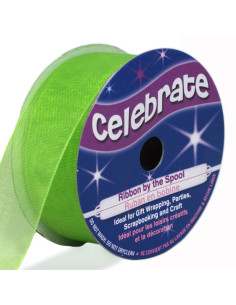 Organza lint Celebrate anijsgroen - 20 mm x 5 m
