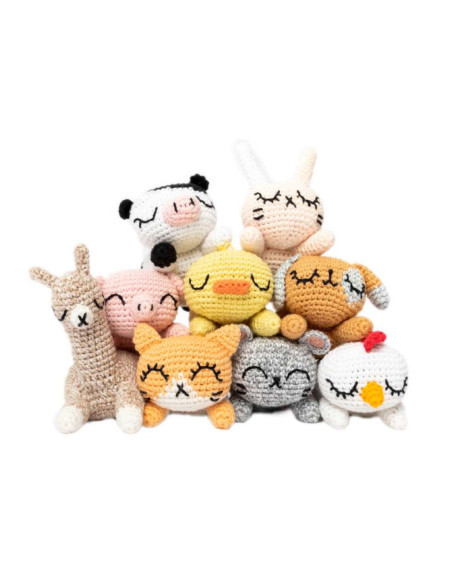 Ricorumi Pocket Pals-boekje