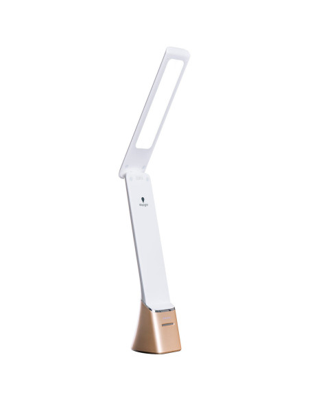 Oplaadbare draagbare lamp Smart Go Daylight