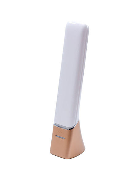 Oplaadbare draagbare lamp Smart Go Daylight