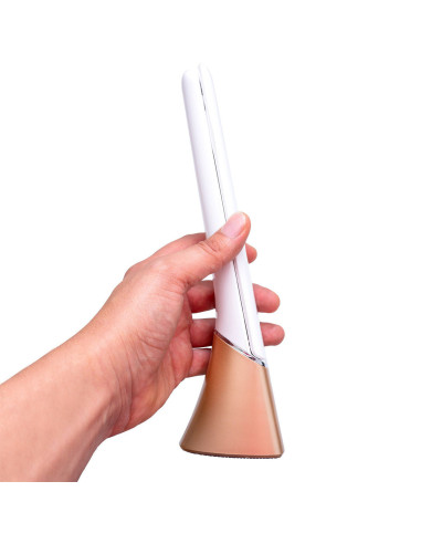 Oplaadbare draagbare lamp Smart Go Daylight