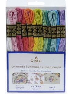 Set van 24 DMC borduurgarens - De Vitaminen