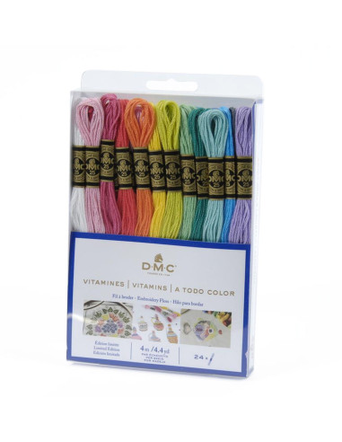 Set van 24 DMC borduurgarens - De Vitaminen