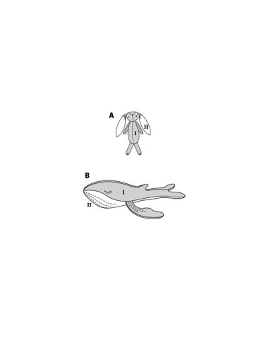 Knuffelpatroon - Burda 6044