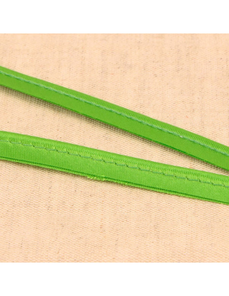 Satijnen paspel - Anijsgroen