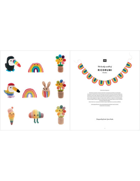 Ricorumi Rainbow-boekje