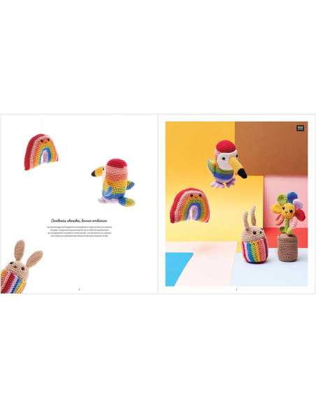 Ricorumi Rainbow-boekje