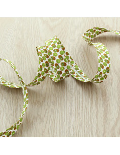 Bias fruit - Kiwi