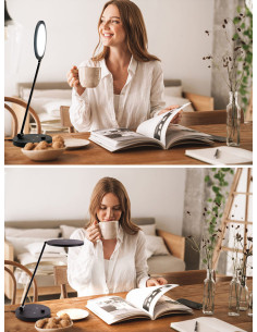 2-in-1 lamp lichttherapie en bureau TriSun Daylight 2