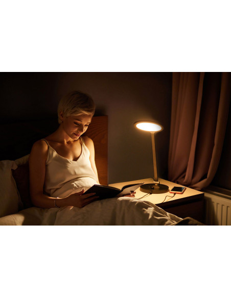 2-in-1 lamp lichttherapie en bureau TriSun Daylight