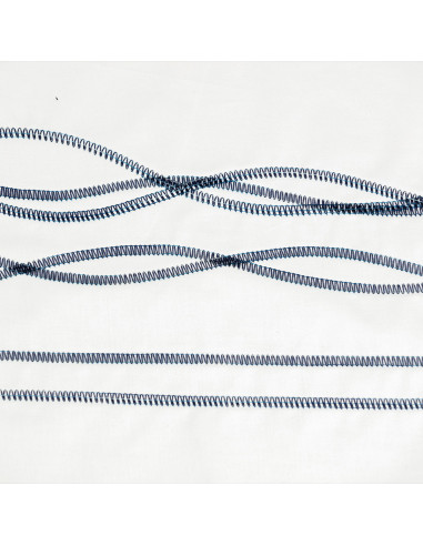 Janome CoverPro 3000 Professional coverlockmachine