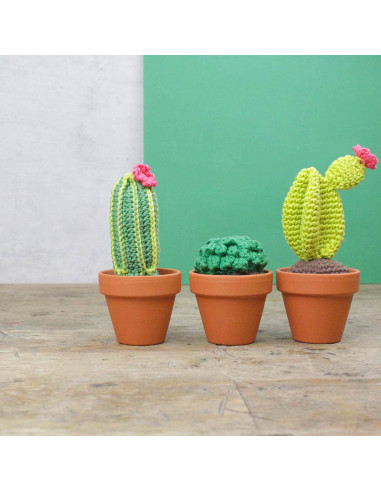 Haakpakket - Cactus