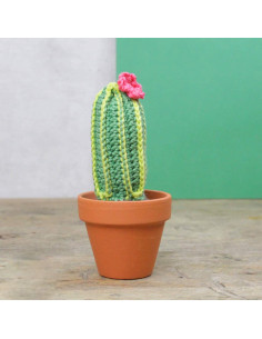 Haakpakket - Cactus 2