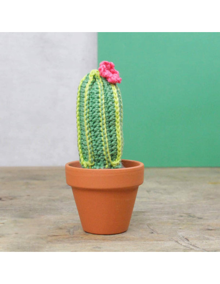Haakpakket - Cactus