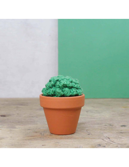 Haakpakket - Cactus