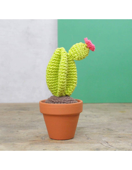 Haakpakket - Cactus