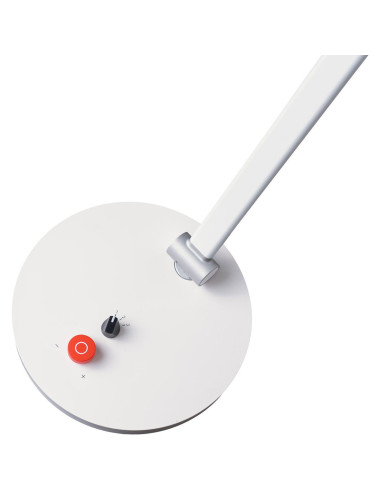 Tricolor Daylight bureaulamp