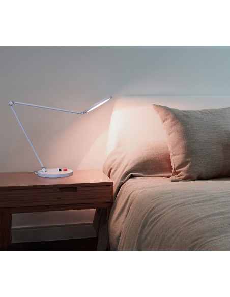Tricolor Daylight bureaulamp