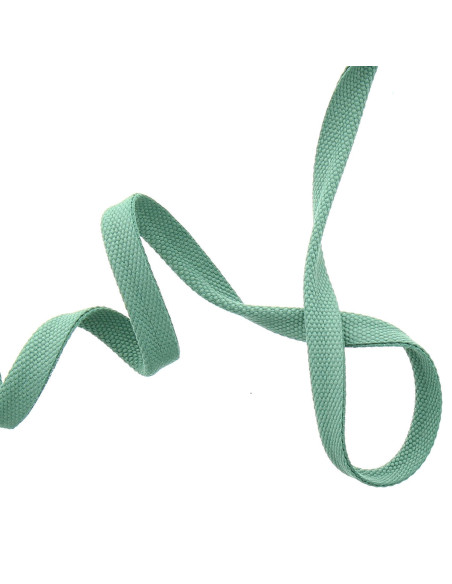 Buitenpaspelband - Salie