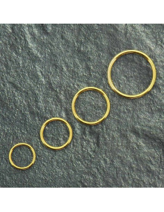 Metalen ring voor beha - Goud