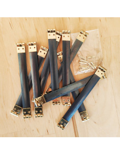 Set van 10 ratelsluitingen met gouden uiteinden - 10 cm