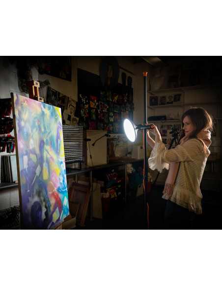 Daglichtlamp Artist Studio Lamp 2