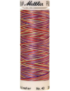 Mettler Polysheen meerkleurig borduurgaren