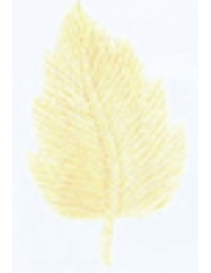 Strijkembleem crèmekleurig blad