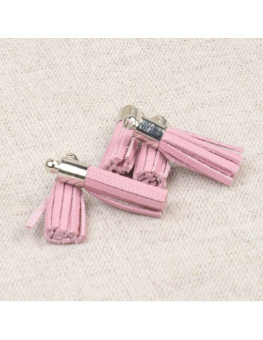 Set van 6 mini pompons - Roze