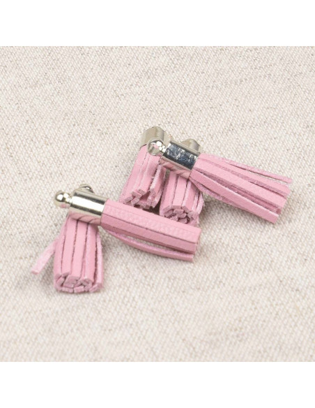 Set van 6 mini pompons - Roze