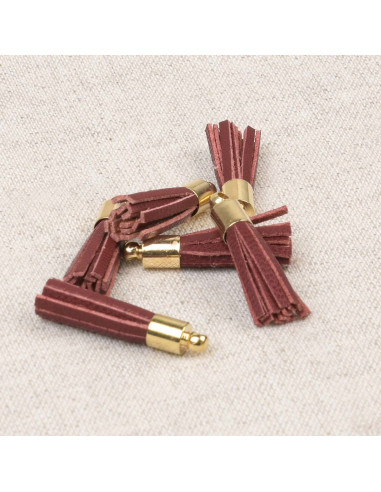 Set van 6 mini pompons - Bordeaux