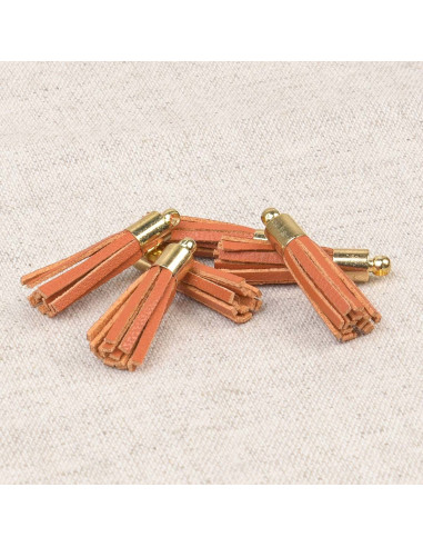 Set van 6 mini pompons - Oranje