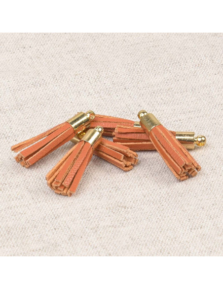 Set van 6 mini pompons - Oranje