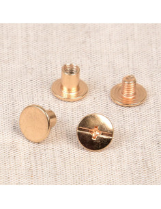 8 sets Chicago-schroeven 10 mm x 6 mm - Goud