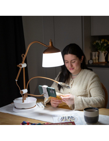 Lamp op tafel met loep, plateau en telefoonhouder Daylight Anita