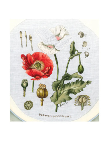 Boek het grote boek van geborduurde bloemen