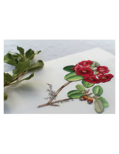 Boek het grote boek van geborduurde bloemen