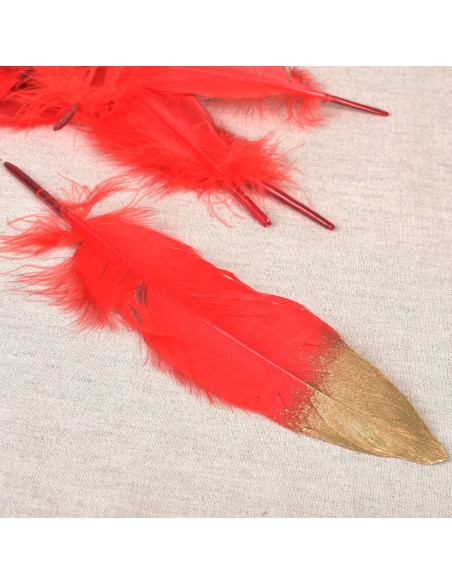 Set van 10 pennen met gouden afwerking - Rood