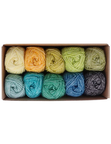 Set van 10 bollen Scheepjes Stone Washed Colour Pack - Grounding