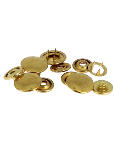 Doos met 8 naadloze jersey drukknopen 12 mm Bohin - Goudkleurig