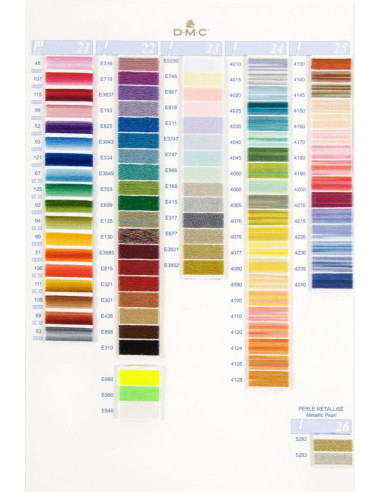 Kleurenkaart 500 gemêleerde en parelmoer kleuren DMC