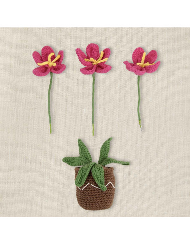 Amigurumi-kit - Bloempot