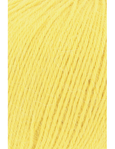 Alpaca Soxx 4 ply sokkenwol Lang Yarns
