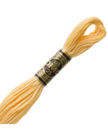 DMC Mouliné borduurgaren