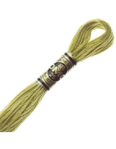 DMC Mouliné borduurgaren