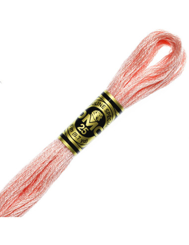 DMC Mouliné borduurgaren