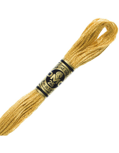 DMC Mouliné borduurgaren