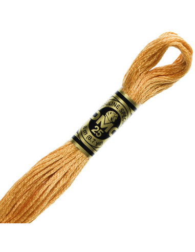 DMC Mouliné borduurgaren
