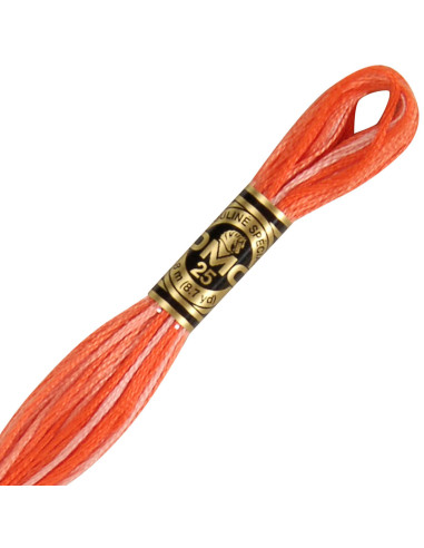 DMC Mouliné borduurgaren